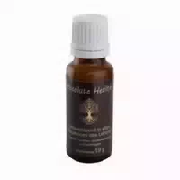 Gr Absolute Health Globuli für Ordnung und Harmonie in Körper, Geist & Seele