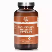 Reishi Extrakt 500 mg Kapsel 180 st