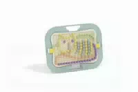 Quercetti Fanta Colour Design Play Bio Steckspiel