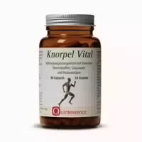 Quintessence Knorpel Vital Kapseln Glutenfrei 90 St