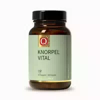 Quintessence Knorpel Vital Kapseln