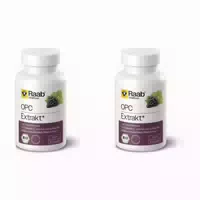Raab Vitalfood Opc Extrakt Kapseln Bio 60 st