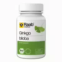 Raab Vitalfood Ginkgo Biloba Kapseln Bio 60 st