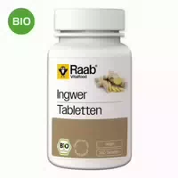 Raab Vitalfood Ingwer Bio Pulver