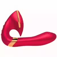 Rabbitvibrator „soyo“ | 10 Vibrationsmodi in 5 Geschwindigkeiten | Shunga
