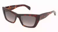 Rag & Bone Rnb1066 S 1er Packung