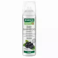 Rausch Dry Shampoo Fresh 150 Ml Aerosol 150 Ml Dosierspray