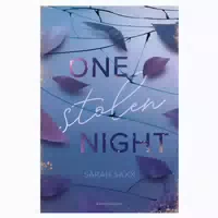 One Stolen Night Knisternde New Adult Romance