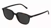 Ray Ban Rb 2193 Leonard 1er Packung