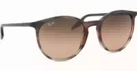 Ray Ban Rb2204 13953b