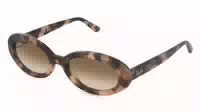 Ray Ban Rb2223
