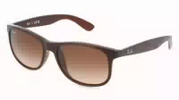 Ray Ban Rb4202 Andy