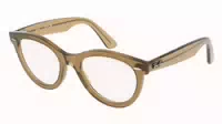 Ray Ban Rb4940 Wayfarer Puffer