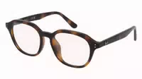 Ray Ban Rx7259d