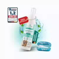 Dentaclean Zahnreinigungsspray Classic 130ml 130 Ml