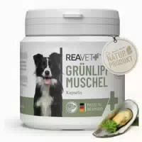 Grünlippmuschel Kapseln 100 St 50 G