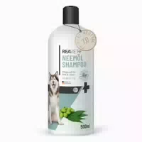 Neemöl Shampoo Reavet