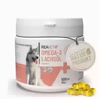 3 l