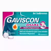 Gaviscon Dual Waldfrucht 250mg 106,5mg 187,5mg 16 st