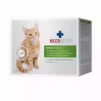 Recoactiv Immun Tonicum Für Katzen Kurpackung