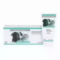 Reconvales Päppelpaste für Hunde und Katzen