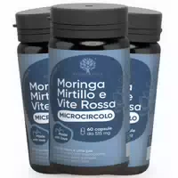 Redmoringa Heidelbeere, Rotweinlaub & Bio Moringa