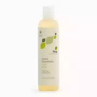 Lenz Shampoo Hanf Birke 250 ml
