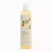 Lenz Shampoo Sonnenhut Brennnessel 250 ml