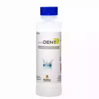 Reinerdent3 Prothesenreiniger