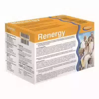 Renergy Instant Pulver 10x100 G