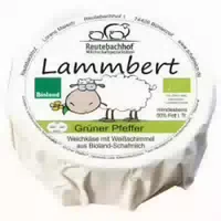 Schafs Weichkäse Lammbert