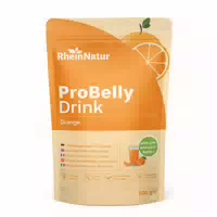 Rheinnatur Probelly Drink Hagebutte