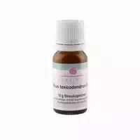 Rhus Toxicodendron D 4 Globuli 10 G