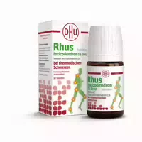 Rhus Toxicodendron D6 Dhu 80 st