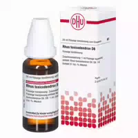 Rhus Toxicodendron D 12 Dilution 20 ml Dilution