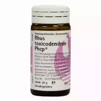 Rhus Toxicodendron Phcp Globuli