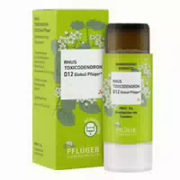 Rhus Toxicodendronicodendron D 12 Globuli Pflüger Globulisp