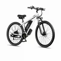 Rincc Rn50 Elektro Mountainbike Mit 48v15ah Akku