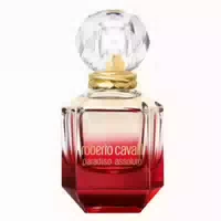 Roberto Cavalli Paradiso Assoluto Eau De Parfum Spray 75ml 0,075 l