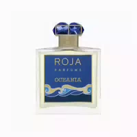 Roja Parfums Roja Danger Extrait De Parfum Spray 100ml für Männer 0,1 l