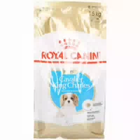Royal Canin Breed Health Nutrition Cavalier Junior