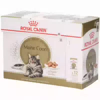 Royal Canin Breed Health Nutrition Miniature Schnauzer Adult