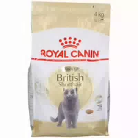 Royal Canin Britisch Kurzhaar