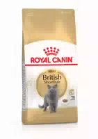 Royal Canin Feline British Shorthair Adult