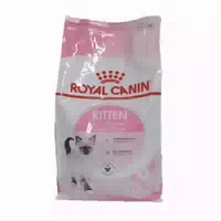 Royal Canin Kitten Pour Chaton