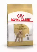 Royal Canin Poodel Adult
