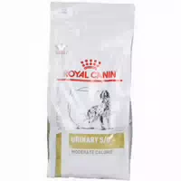 Royal Canin Urinary S O Moderate Calorie Chien