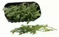 Rucola Rauke