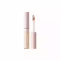 The Saem Cover Perfection Fixealer Spf30 Pa 6 5g 02 Rich Beige