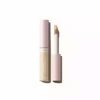 The Saem Cover Perfection Fixealer Spf30 Pa 6 5g 02 Rich Beige